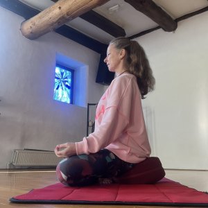 BEWEGT & BEWEGEND Andrea Stellbrink